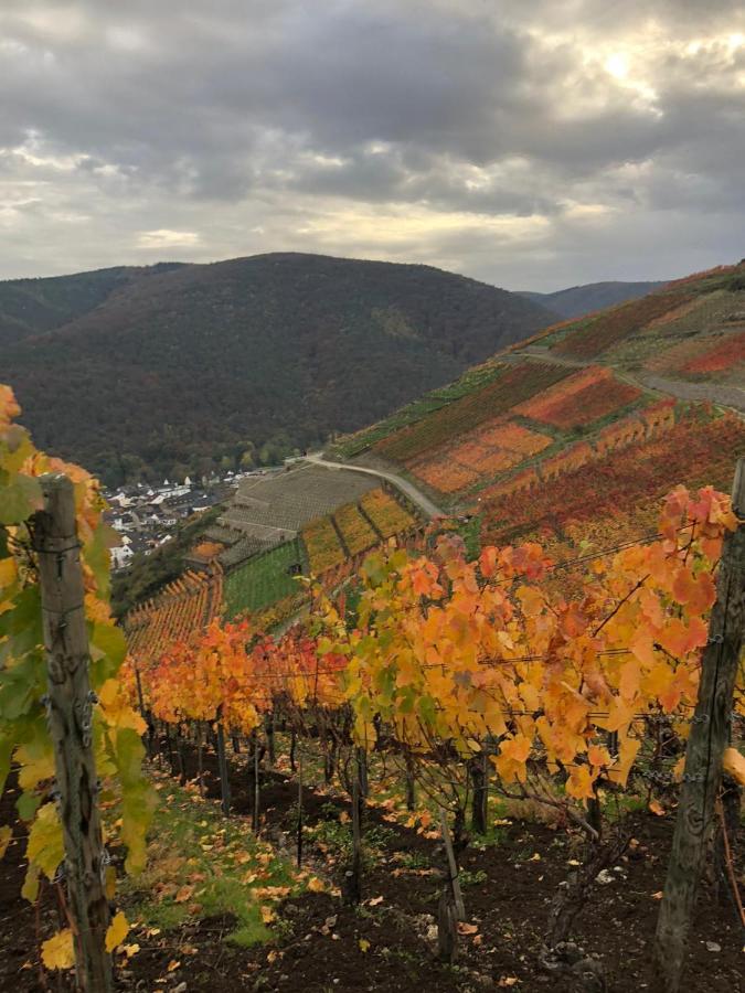 Ferienwohnung Hochgewaechs Bad Neuenahr-Ahrweiler Bagian luar foto